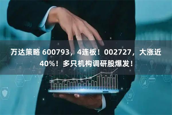 万达策略 600793，4连板！002727，大涨近40%！多只机构调研股爆发！