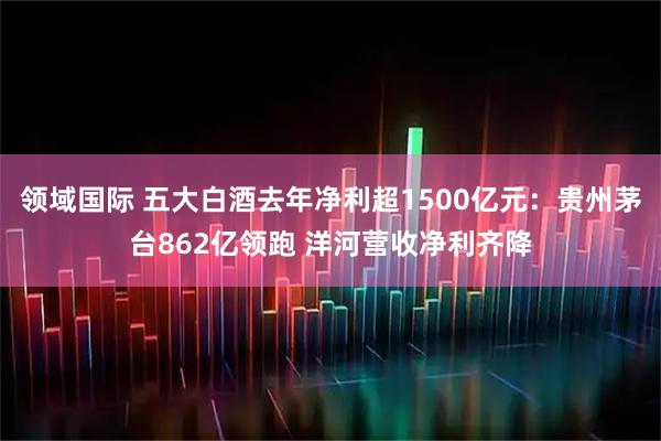 领域国际 五大白酒去年净利超1500亿元：贵州茅台862亿领跑 洋河营收净利齐降