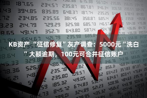 KB资产 “征信修复”灰产调查：5000元“洗白”大额逾期，100元可合并征信账户